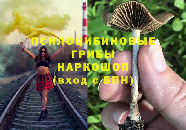 крисы Зеленокумск